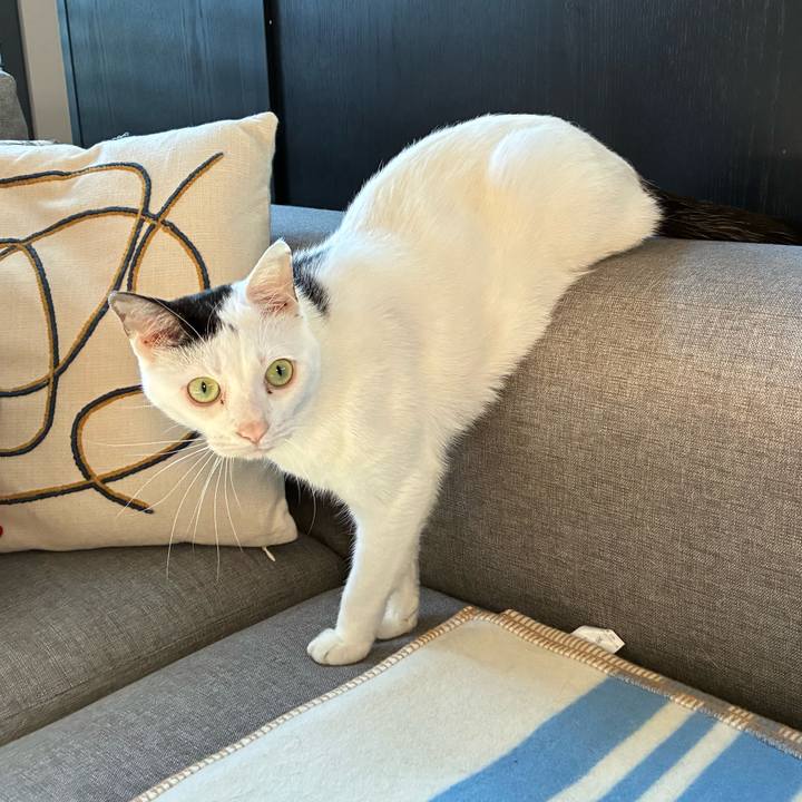 88987d93 6783 4412 8903 f8b83c61dee0 1771644269612