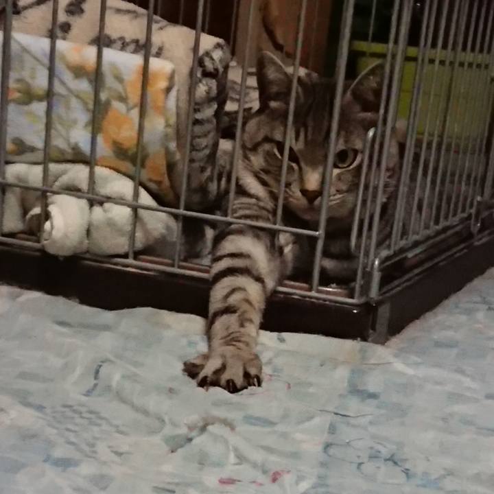 88988d1b fcb8 4323 a6f6 7883a4a77233 1574954193606