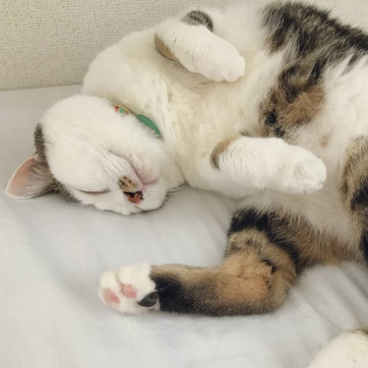 8898a77d 890e 4f3e a810 e08dc4b81c2f 1535201059358