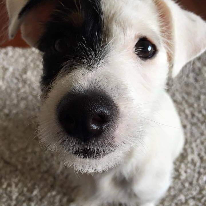 8898b02d f07a 4493 b367 1b1fb67fc6e8 1709558330293