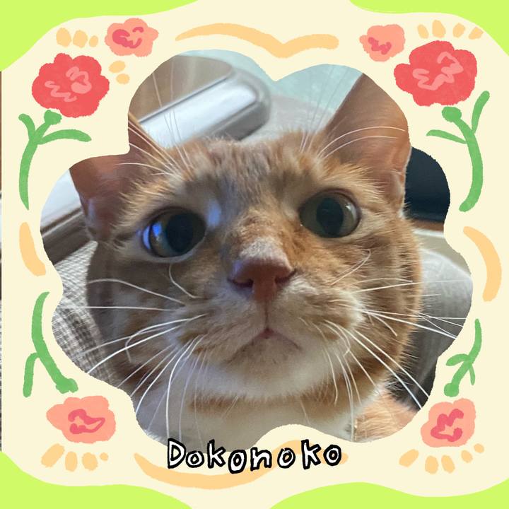 8898f516 7030 4532 b190 53339378baaf 1715478082510