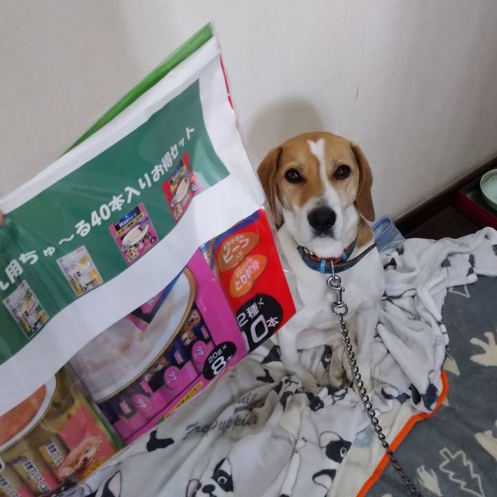 8898fde2 c6c1 446e a60d c06470ee9c40 1609654411104