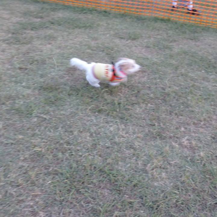 889900ce a6bf 4db2 9866 3cbbb7c3c9fb 1756034649928