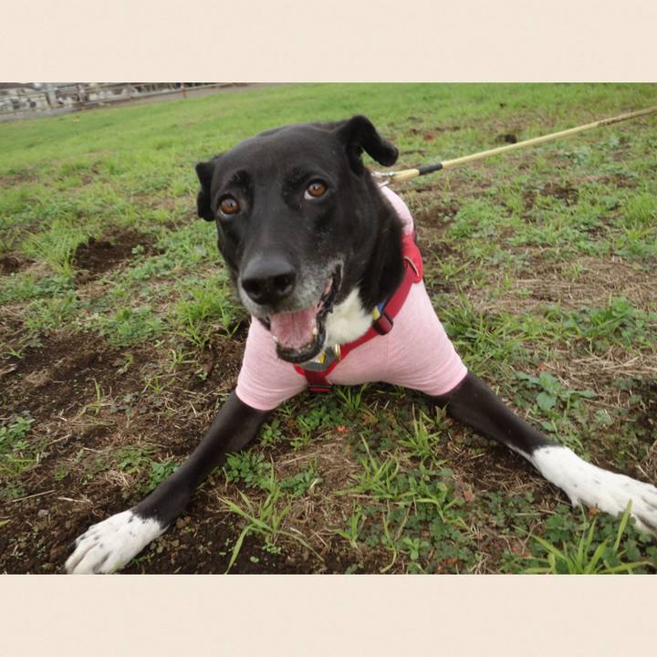 889929d5 cebd 44cc 9650 89dbc845d76c 1670029903039