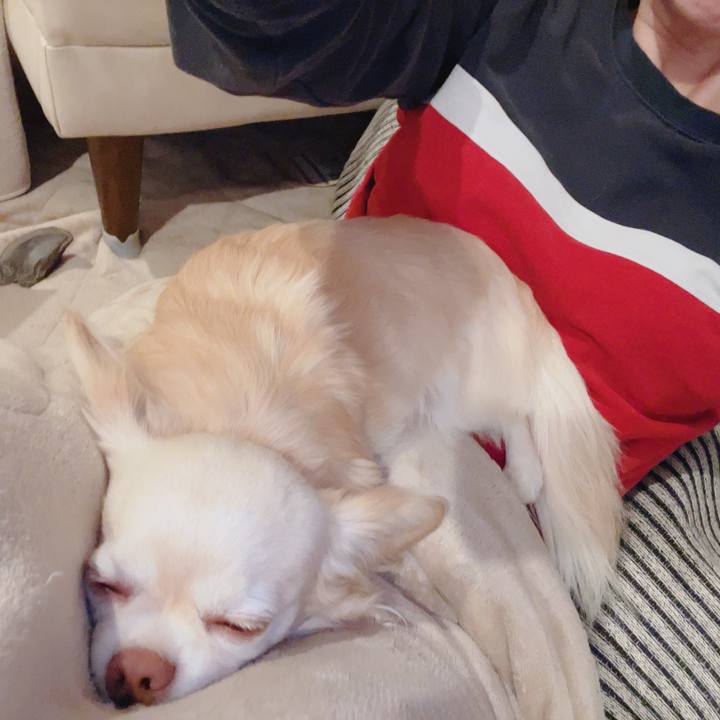 889942ce 15dd 49c6 af2b 57e69fcef62d 1772793209738