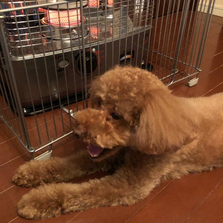 88994b54 762a 4eaf bab4 5b2834ef7073 1515919490710