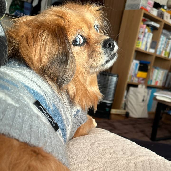 88996cc7 db56 4cbd bcab 36b83cd073e6 1735894210599