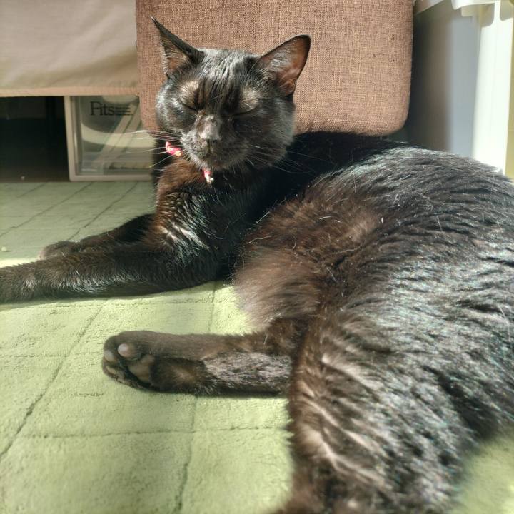 88997f02 2185 411e 8096 085936a8d843 1659308179165