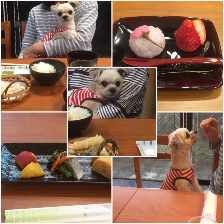 8899bbad 0741 4f18 8081 0a834735a52e 1556694441485