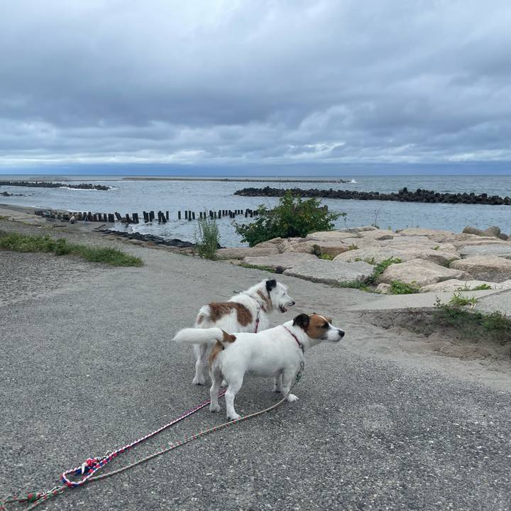 8899c8f2 9dca 4fd5 a42b 08843d825140 1725749933581