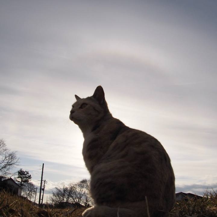 889a0ae6 a5dd 43ab 8f18 6cf179863c03 1773316005116