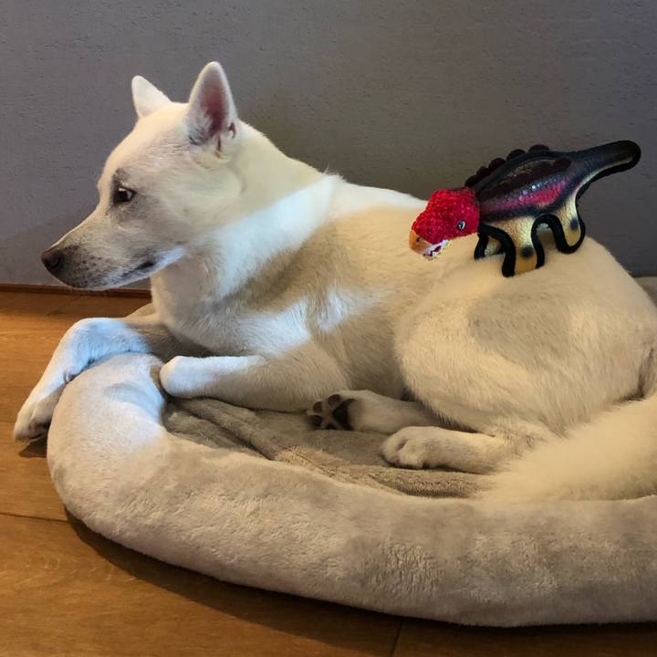 889a1c3c 4c80 417b b298 a3e31d751372 1592570153296