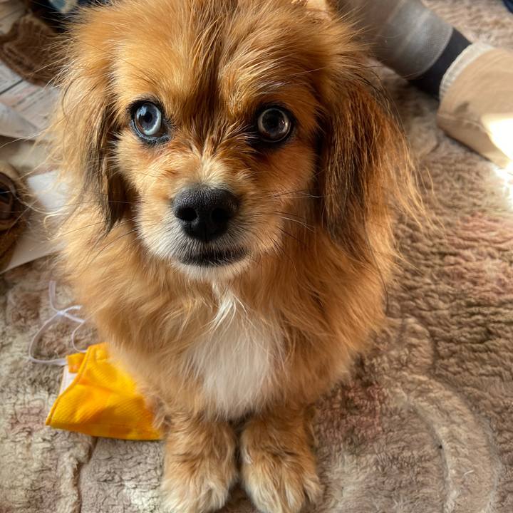 889a5e66 7a45 44d1 857e 01c68a269576 1613005977435