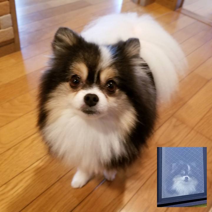 889ab239 832f 4098 b7e3 662857232163 1567552429113