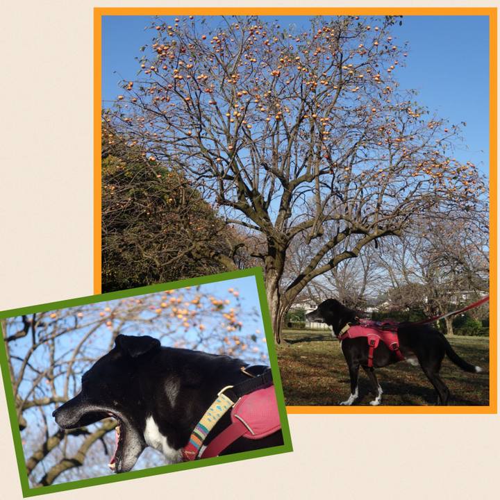 889ad08a 5642 4e0a a3c5 691b80d81d15 1699059779099