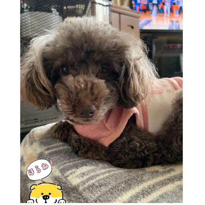 889add25 785a 43c7 bf77 04018265bd98 1577929915624