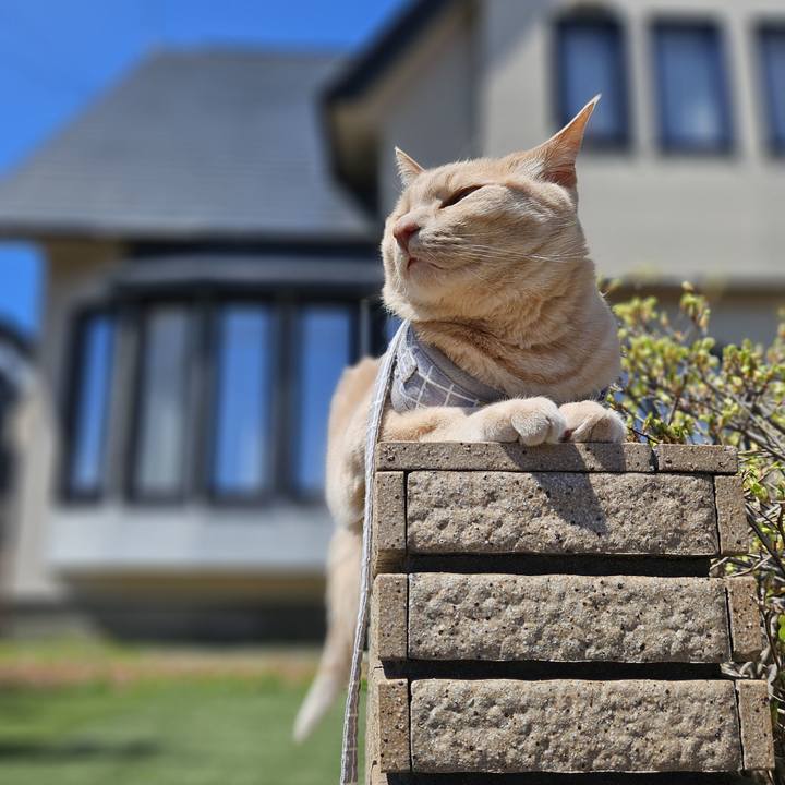 889b026c d85b 4e89 98a2 19f94ba75ec9 1714534783606