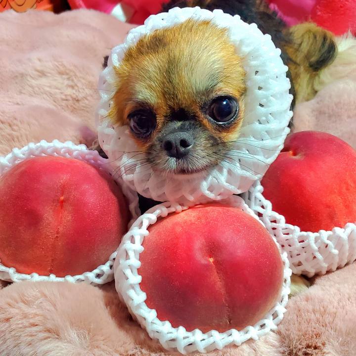 889b2cc4 13a7 46d3 a26f 23a2a42cf902 1765361640906