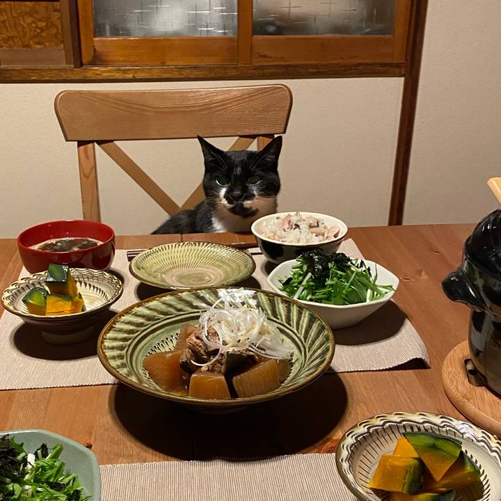 889b5893 21ac 4da6 a6d5 11f7031ad960 1640859733406