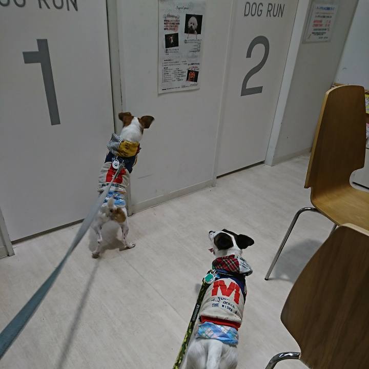 889b8c0a a41c 4a32 9b7d 27ed948228c2 1532168744529