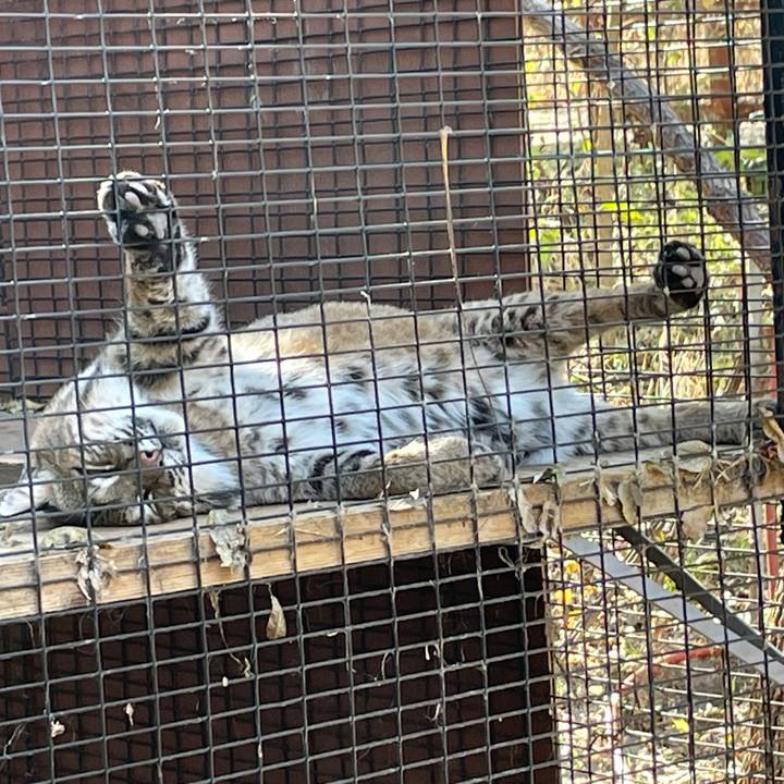 889bb705 11d7 4073 b495 47f908d4fd71 1769552038314