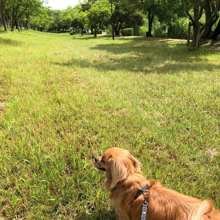 889bcc74 a4a9 46a2 96ee cb193230c1d3 1530321819812