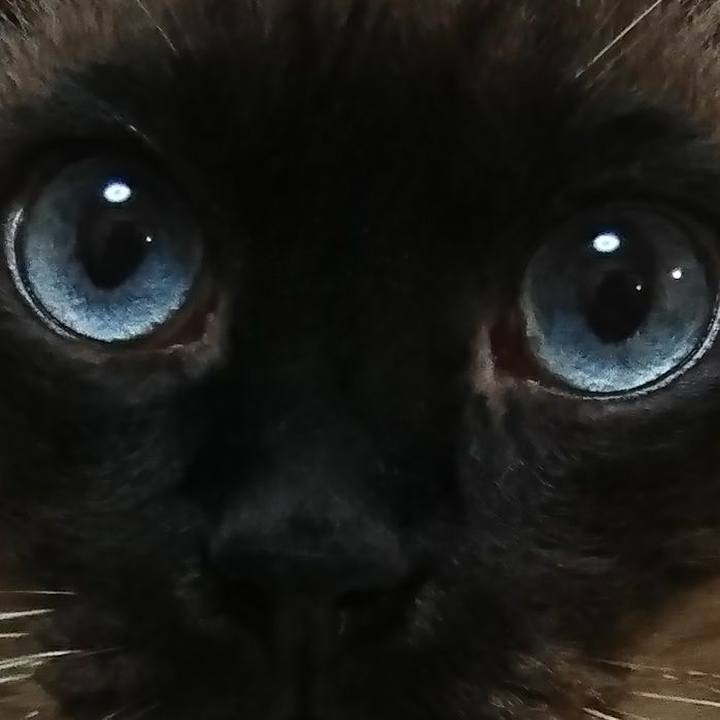 889bdfba a9af 4b0d 90ea b729f2c78286 1517038772951