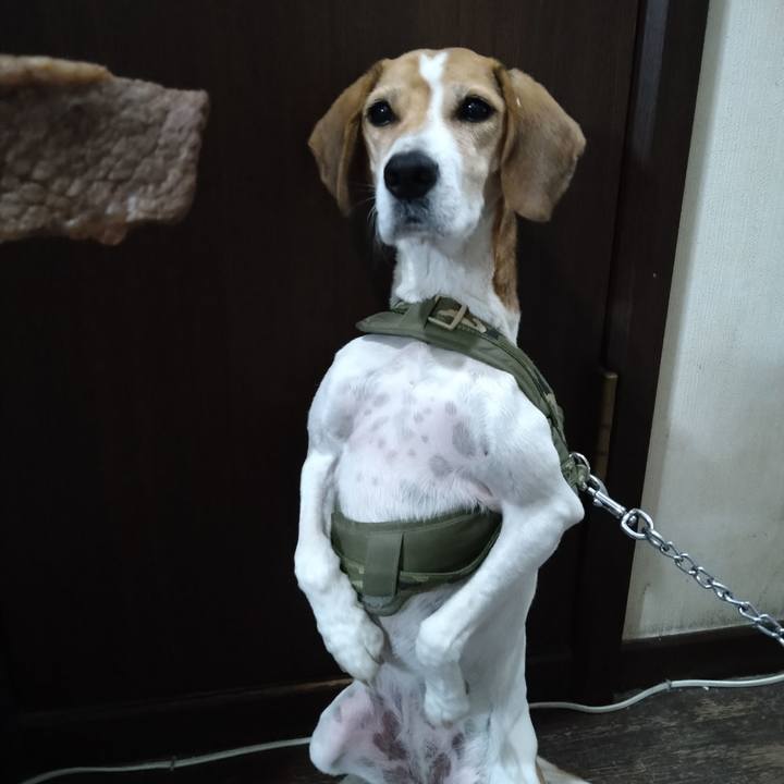 889bf44b 6042 4948 a357 b2915ae4cf3e 1669901892393