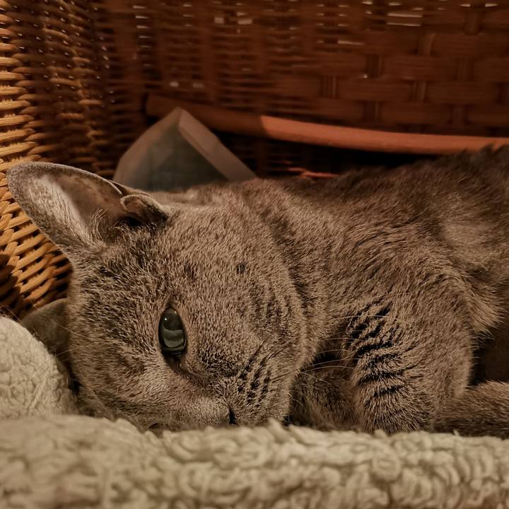 889c19a3 cafd 47d5 a0f7 08f6817fe79b 1602286760010