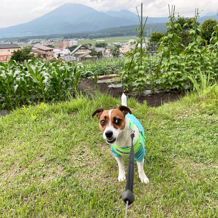 889c5f52 c79b 4bc6 9458 90f40b2bae83 1624772258819