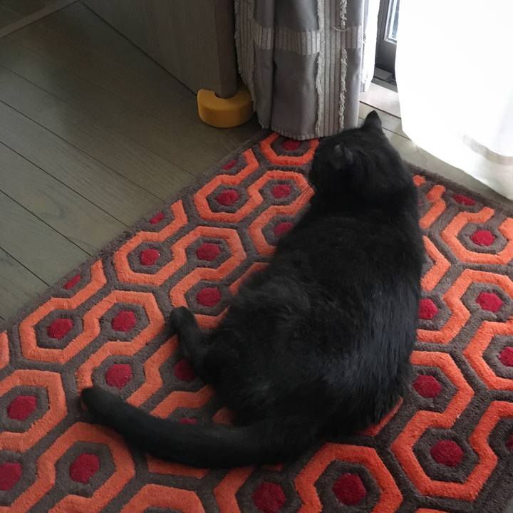 889c681d d63e 460e 82ab 88c0c028d3e1 1570426241375