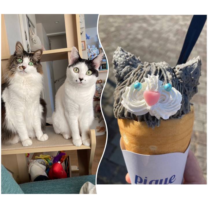 889cd393 c0cb 4dcb 87dc 32e20a39b756 1771148914817