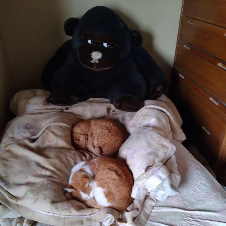 889ced15 f09e 4e2f b843 d054e4d30d4f 1770520228338