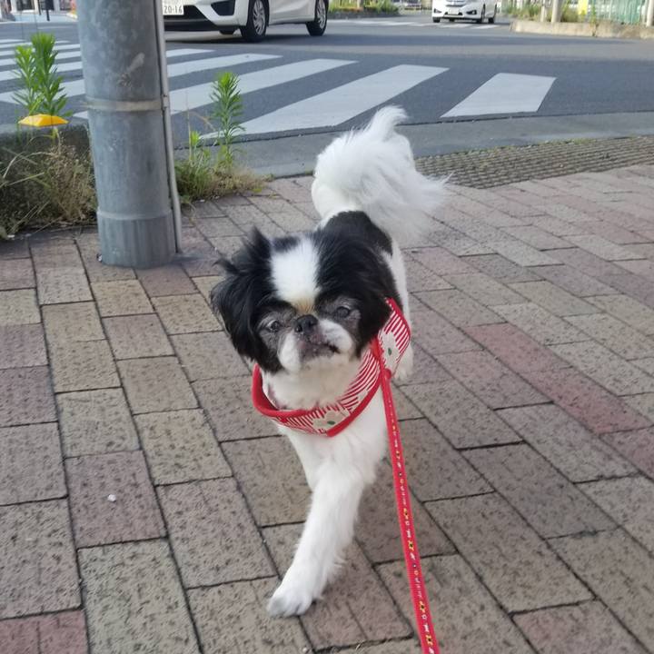 889cfe8a 748c 42eb bf5b 9ffbd5b9b199 1591655186376