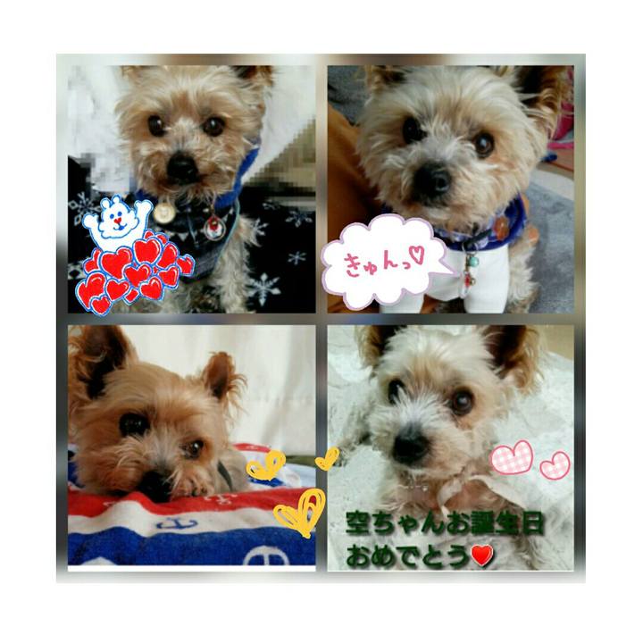 889d0aaa 9a24 45c4 a4e4 50aa4c7d0a67 1511003494396