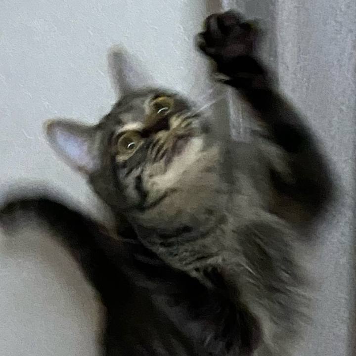 889d1ae3 8b96 426b a3e4 b2513934ad16 1618831778383