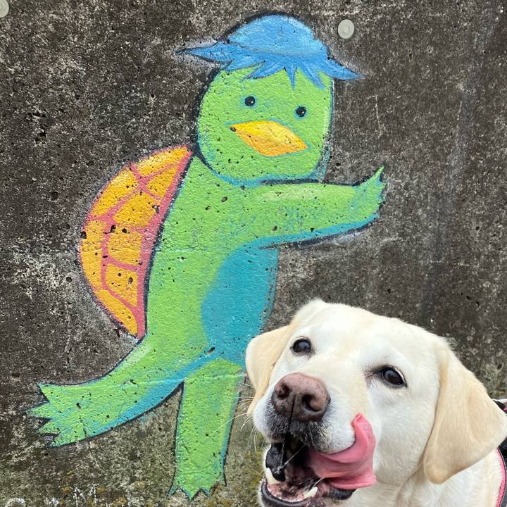 889d63af 2cd3 41ef 815a dd0c5c0f1841 1671433211292