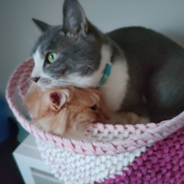 889d7ab7 88ce 4229 a07f bb633928894c 1656027774974