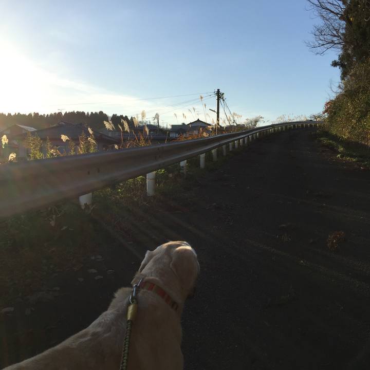 889d7efc f316 4d0e a971 285485e54625 1543734454554