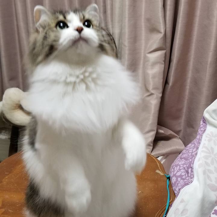 889da9d7 2ca6 4b05 9826 46039c278bd3 1546657822665