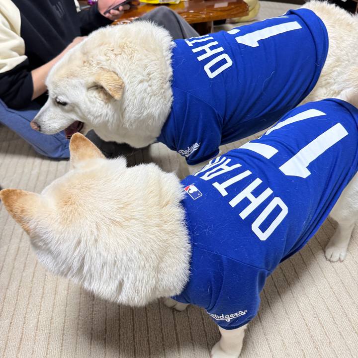 889db2f4 3a29 4f49 a722 4e43c8b4d778 1745705247584