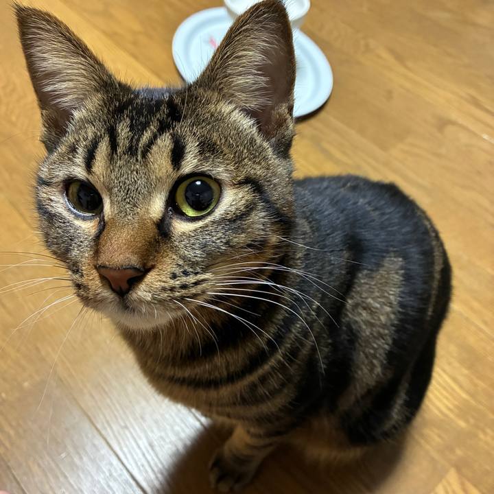 889ddb06 2a50 4d1d 9ad9 98d72ac7f7ba 1769029188791