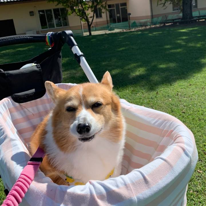 889e1213 789f 4440 9630 cbf2b0d038c4 1696651217781