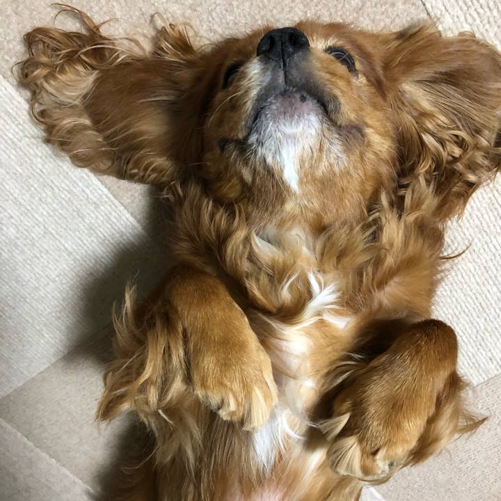 889e50dd d089 49f8 a645 27e1b4fbf6f3 1634338992924