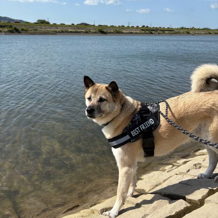 889e61f7 f535 4e19 adfc d6249807c842 1746336571046