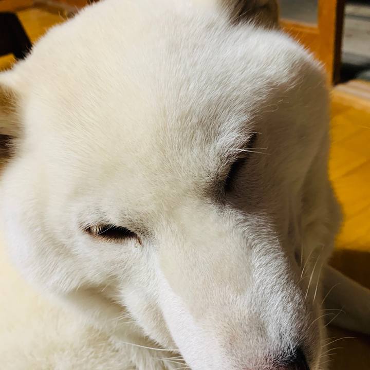 889e7fb6 afbd 4f49 87db b45a0cbcfef3 1574379362553