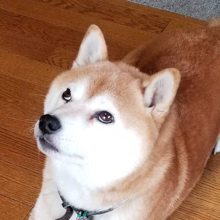 889e9ae4 75c3 40a9 b5a9 6b1068cb690a 1604289453393