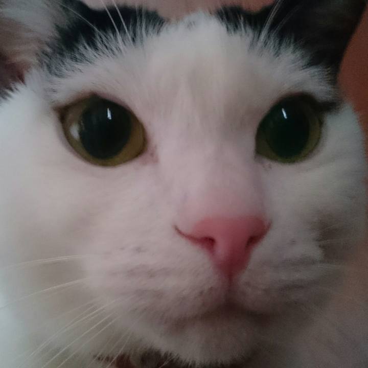 889e9be8 653e 4a0d bedf f57998468dfd 1514613700662