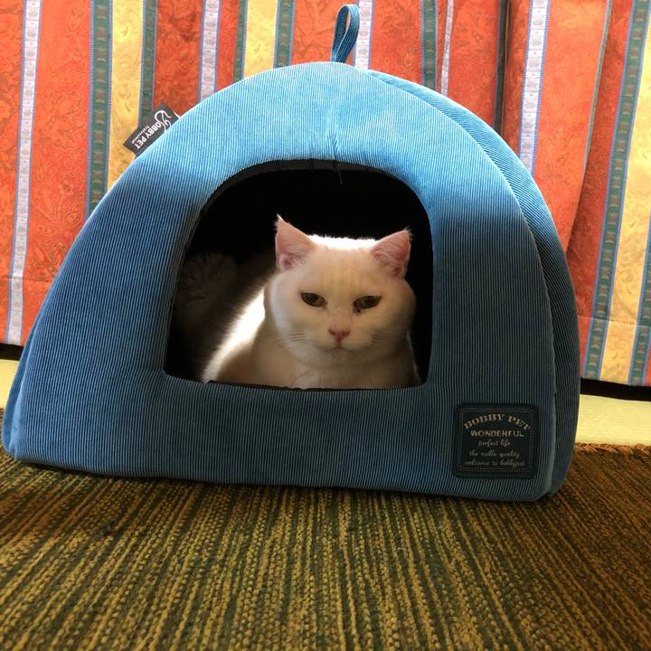 889eb6d9 4182 46b6 bf0a ec03bb2d36cc 1580902877909