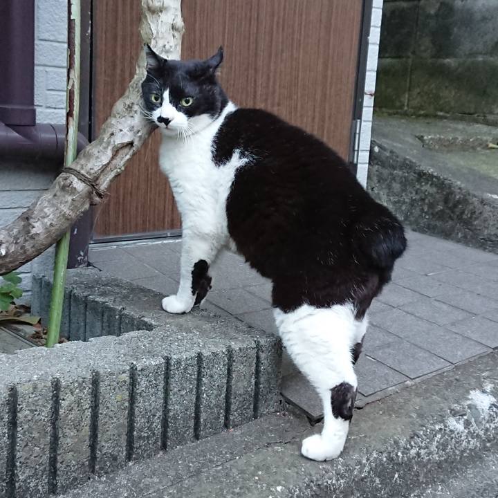 889f02fe 2678 496c 871a dc9265b8b9d4 1635458069131